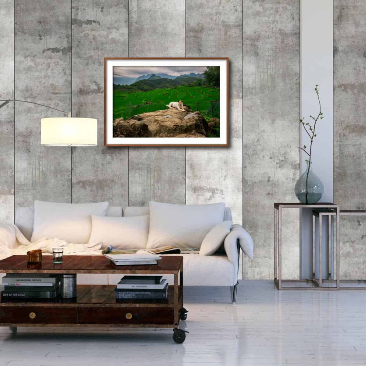 A DOG RESTING (48x32cm) Photography | Vietnam binhdang.me vietnam_hanoi_hochiminh_asia_asian_art_photography_photographer_binhdang_print_01