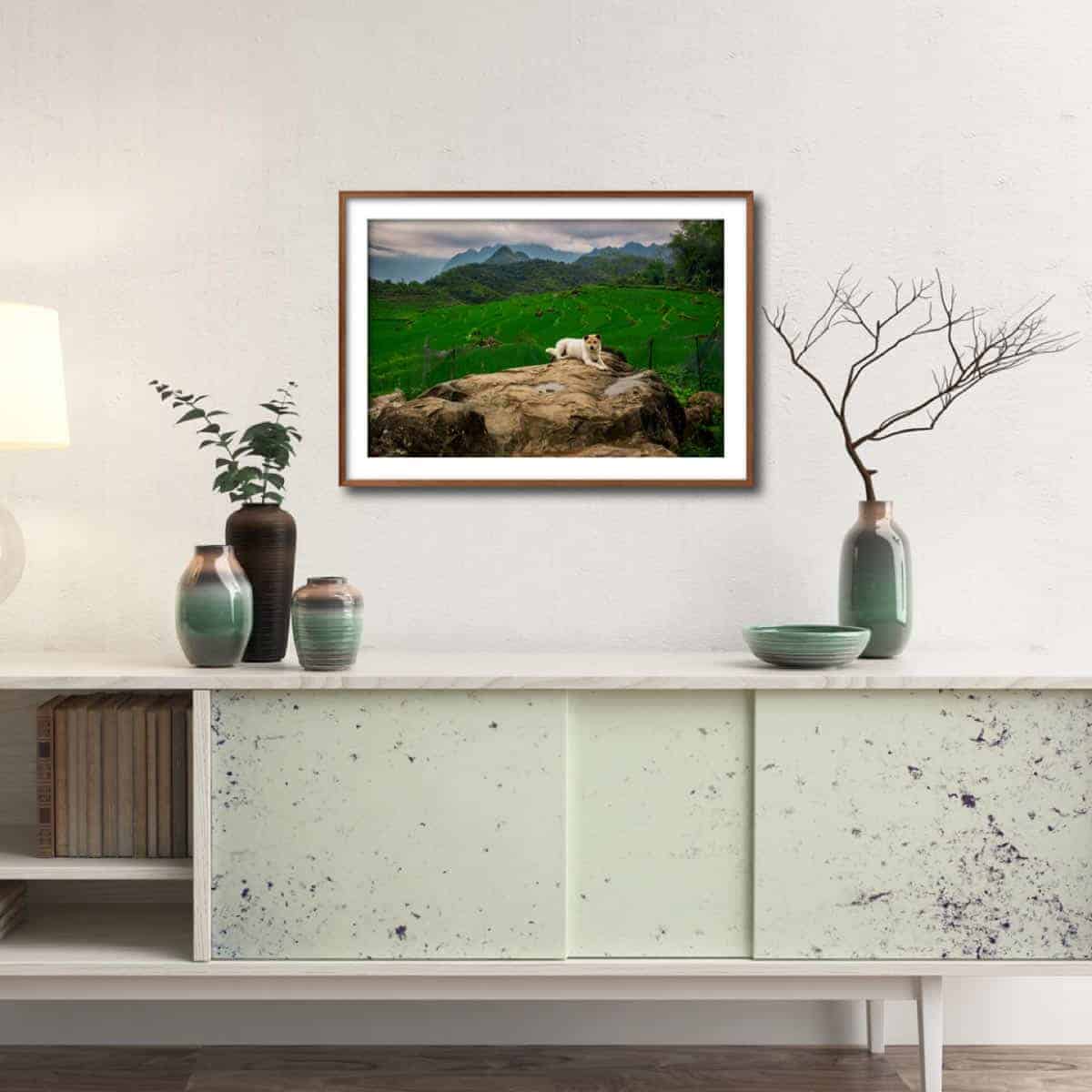 A DOG RESTING (48x32cm) Photography | Vietnam binhdang.me vietnam_hanoi_hochiminh_asia_asian_art_photography_photographer_binhdang_print_03