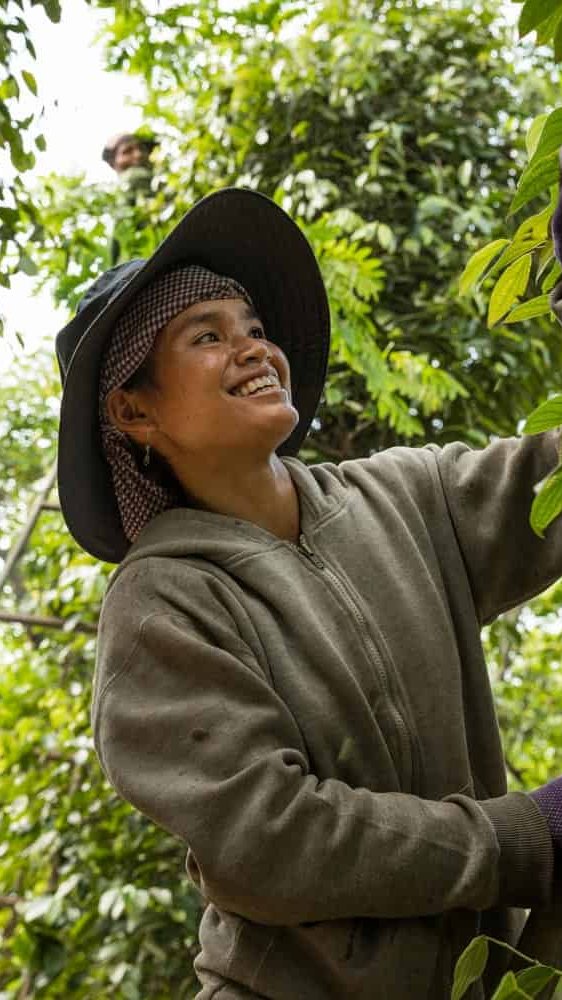 CABI Vietnam SE Asia Binh Dang Agriculture Documentary Photography Photographer Hanoi Danang HoChiminh Corporate Editorial Commerce 4 Photography | Vietnam binhdang.me editorial photography