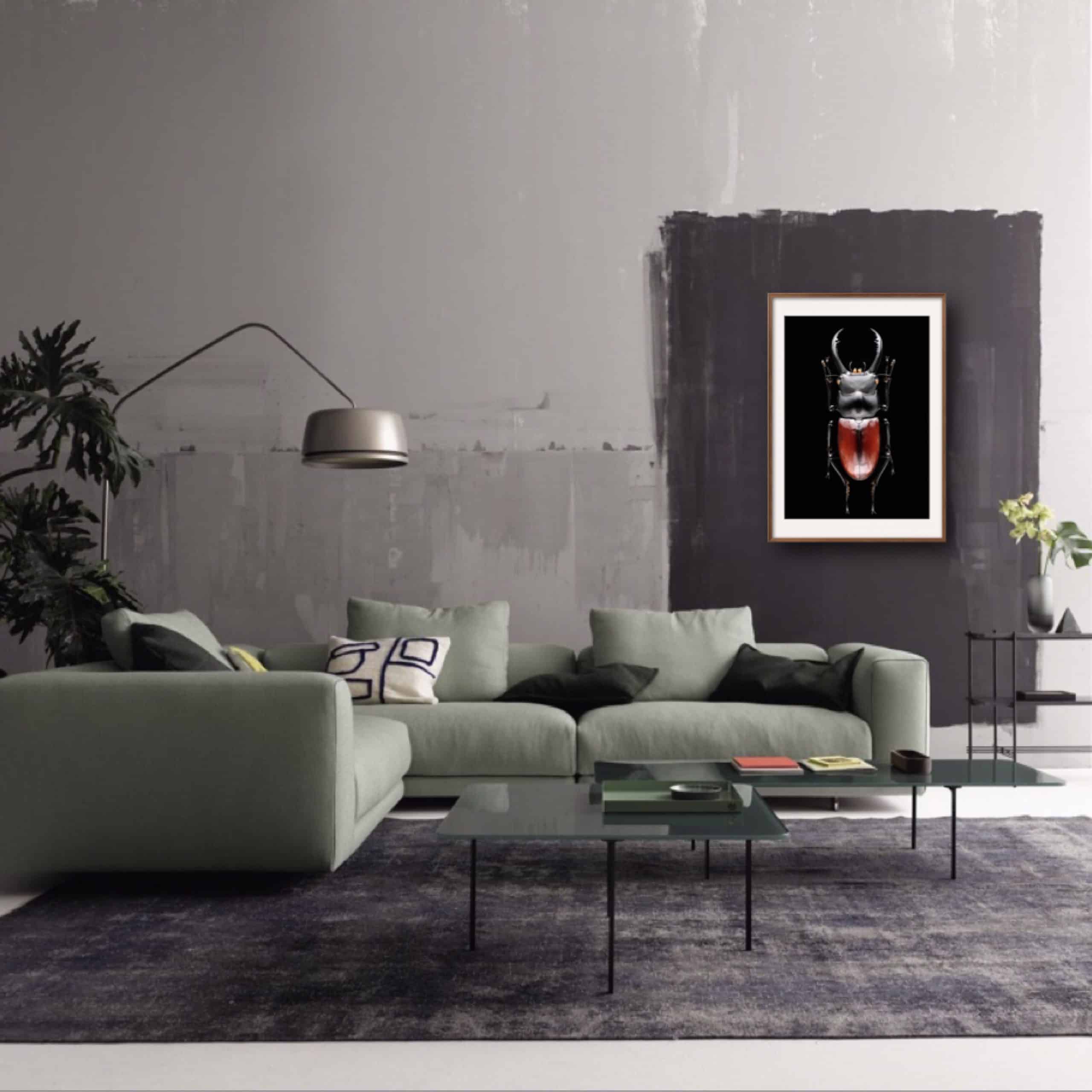 A BIG BOY - MAEDA (32x48cm) Photography | Vietnam binhdang.me insect_photography_vietnam_macro_binh_dang (2)