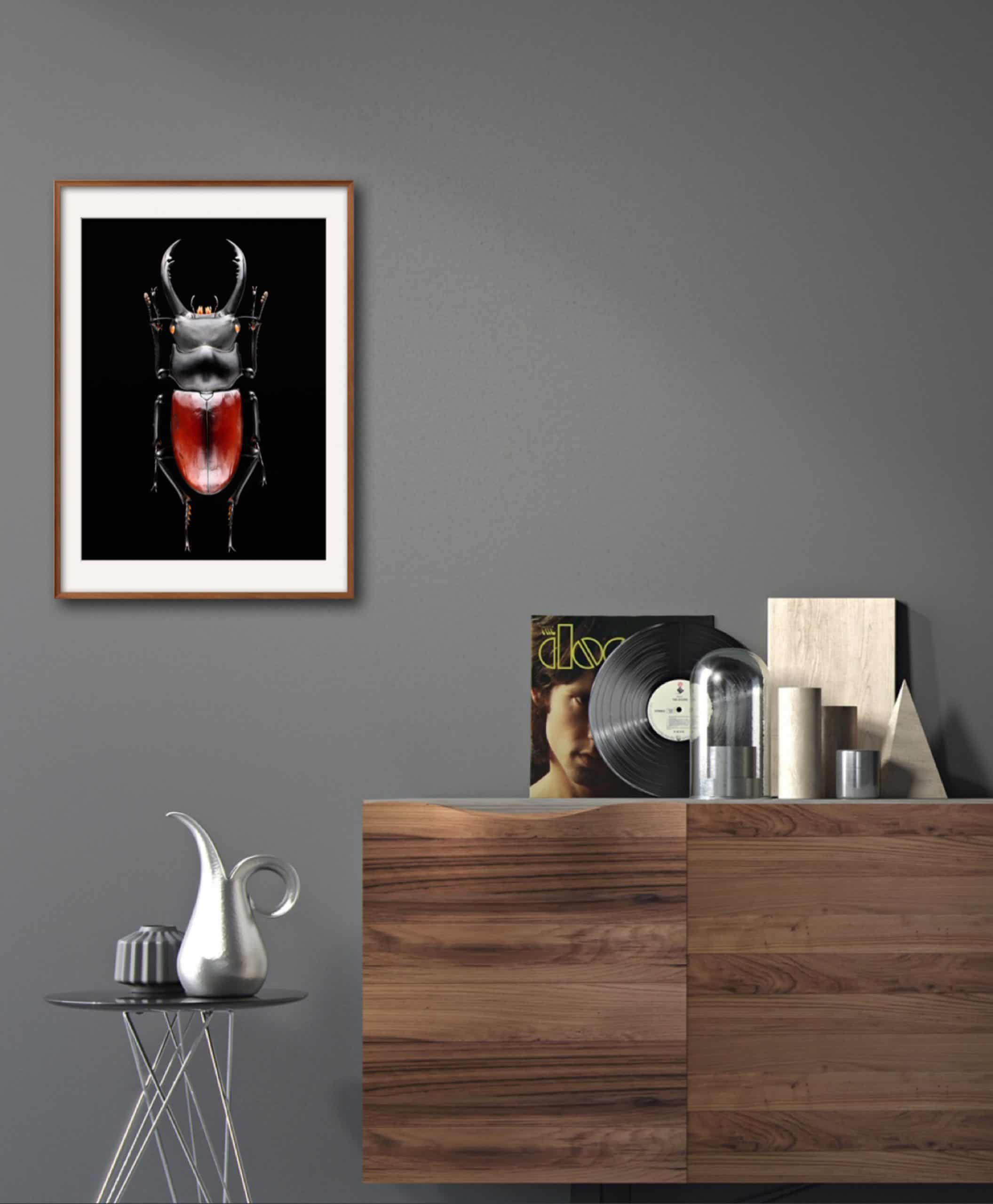 A BIG BOY - MAEDA (32x48cm) Photography | Vietnam binhdang.me insect_photography_vietnam_macro_binh_dang (3)