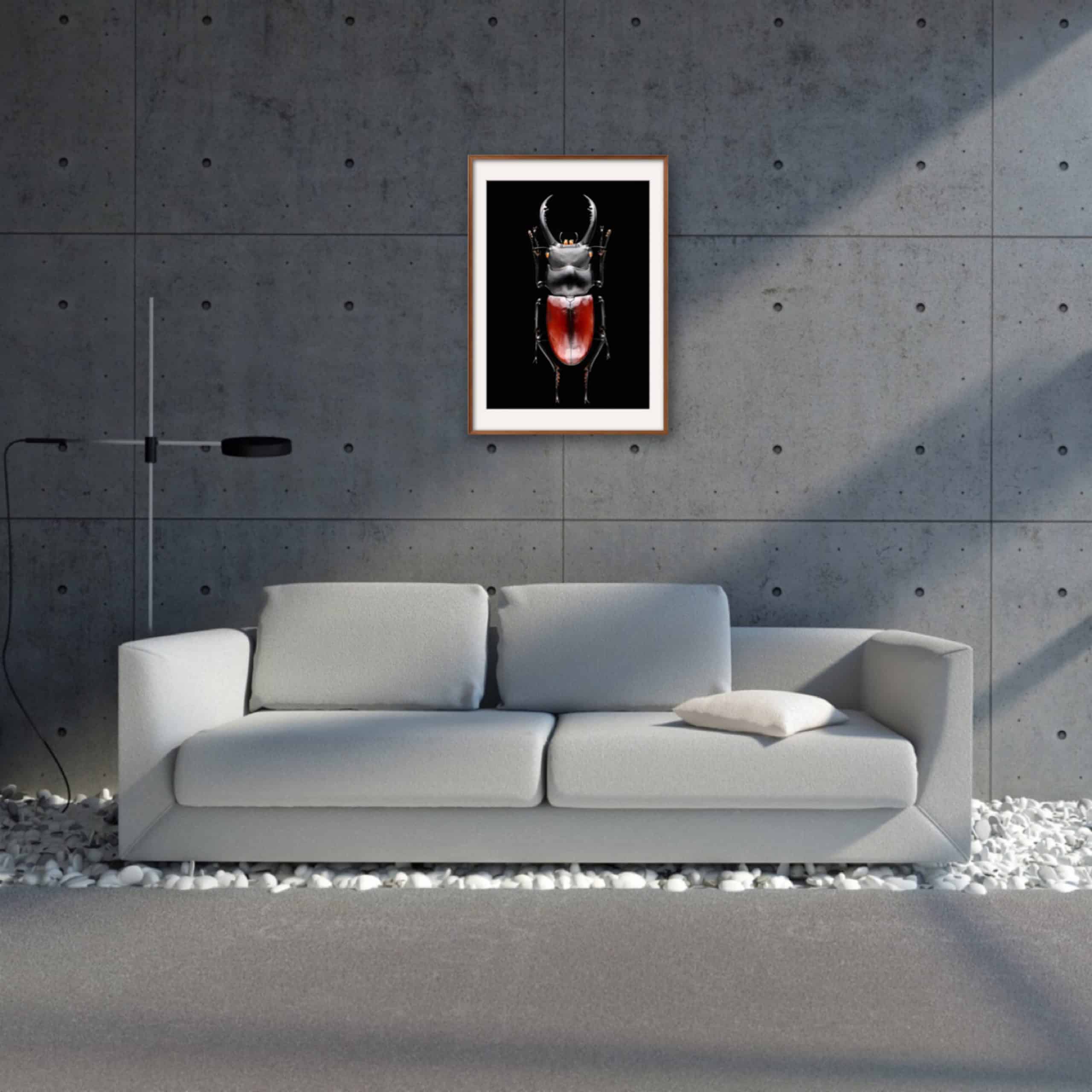 A BIG BOY - MAEDA (32x48cm) Photography | Vietnam binhdang.me insect_photography_vietnam_macro_binh_dang (5)