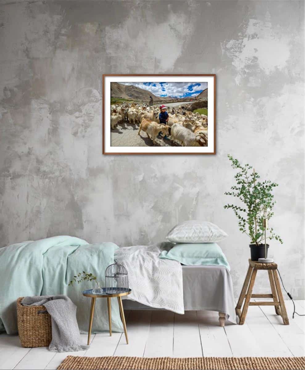 A LITTLE SHEPHERD GIRL (48x32cm) Photography | Vietnam binhdang.me ladak_vietnam_hanoi_hochiminh_asia_asian_art_photography_photographer_binhdang_people_05