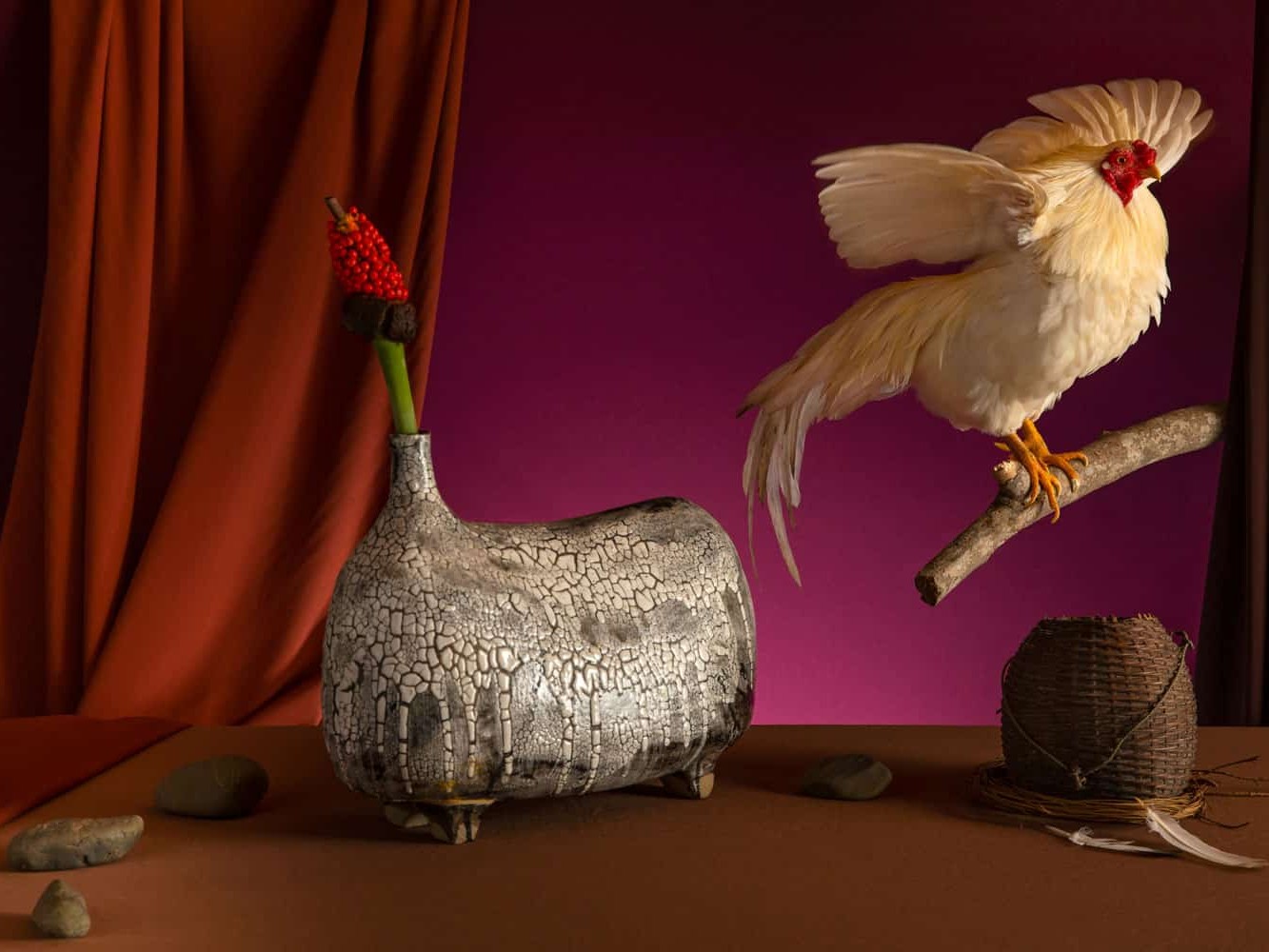 still life photography product photography
