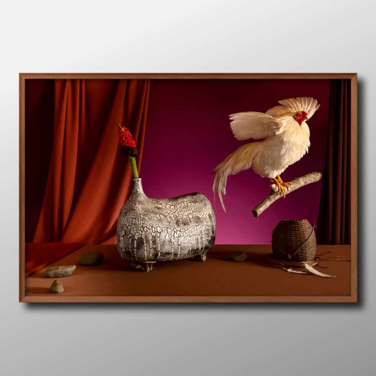 still_life_art_photography_photographer_vietnam_flower_animal_vietnam_chicken1