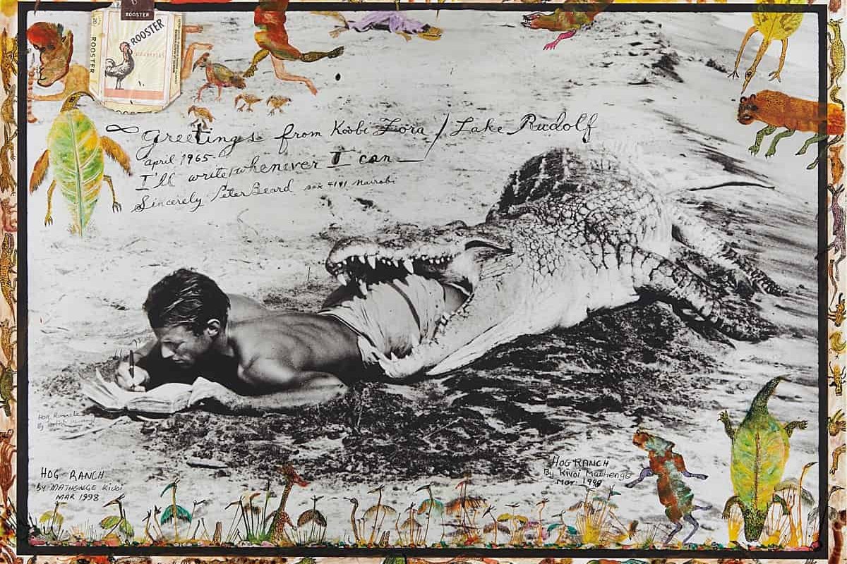 Nhiếp ảnh gia peter beard