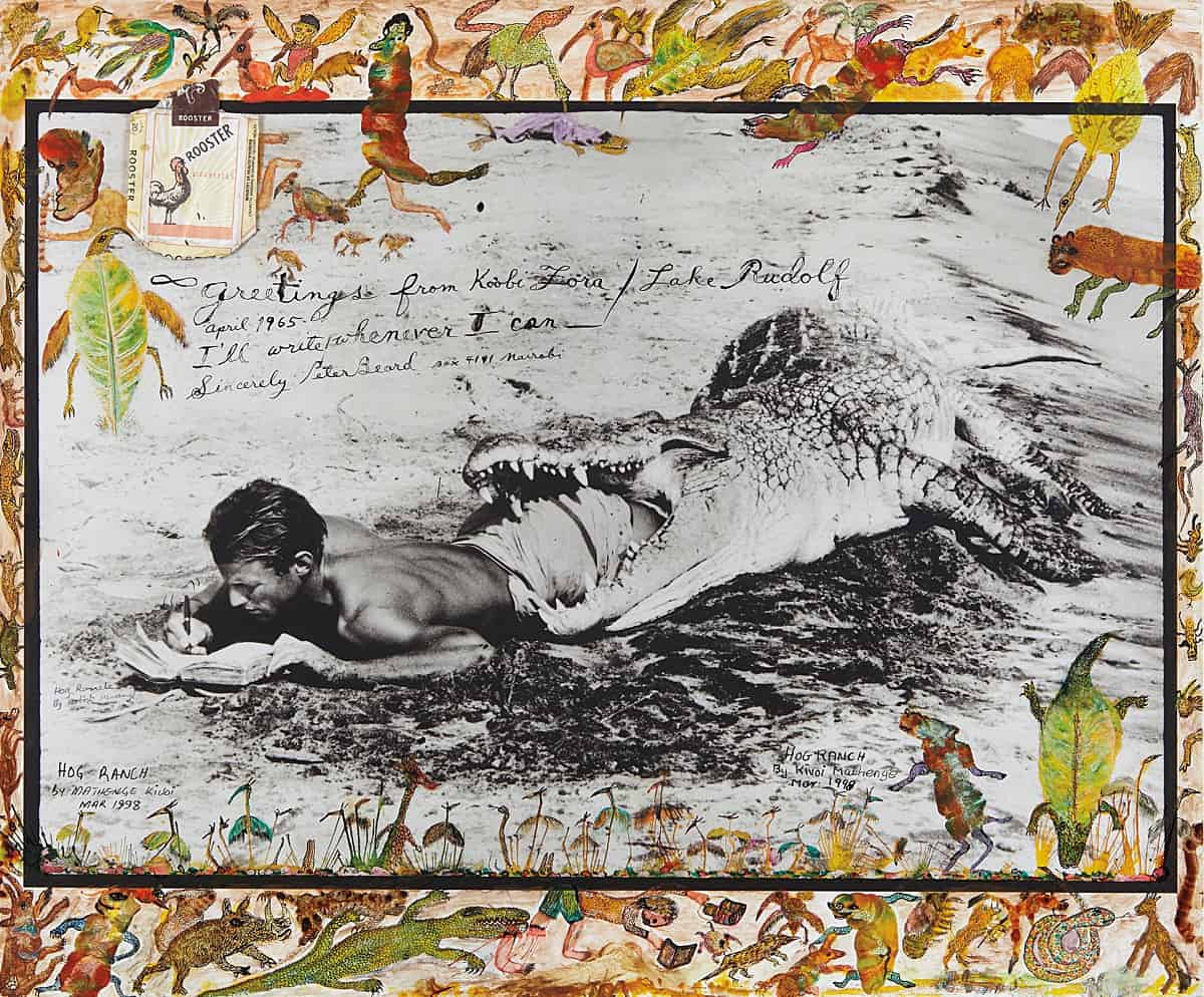 Nhiếp ảnh gia peter beard