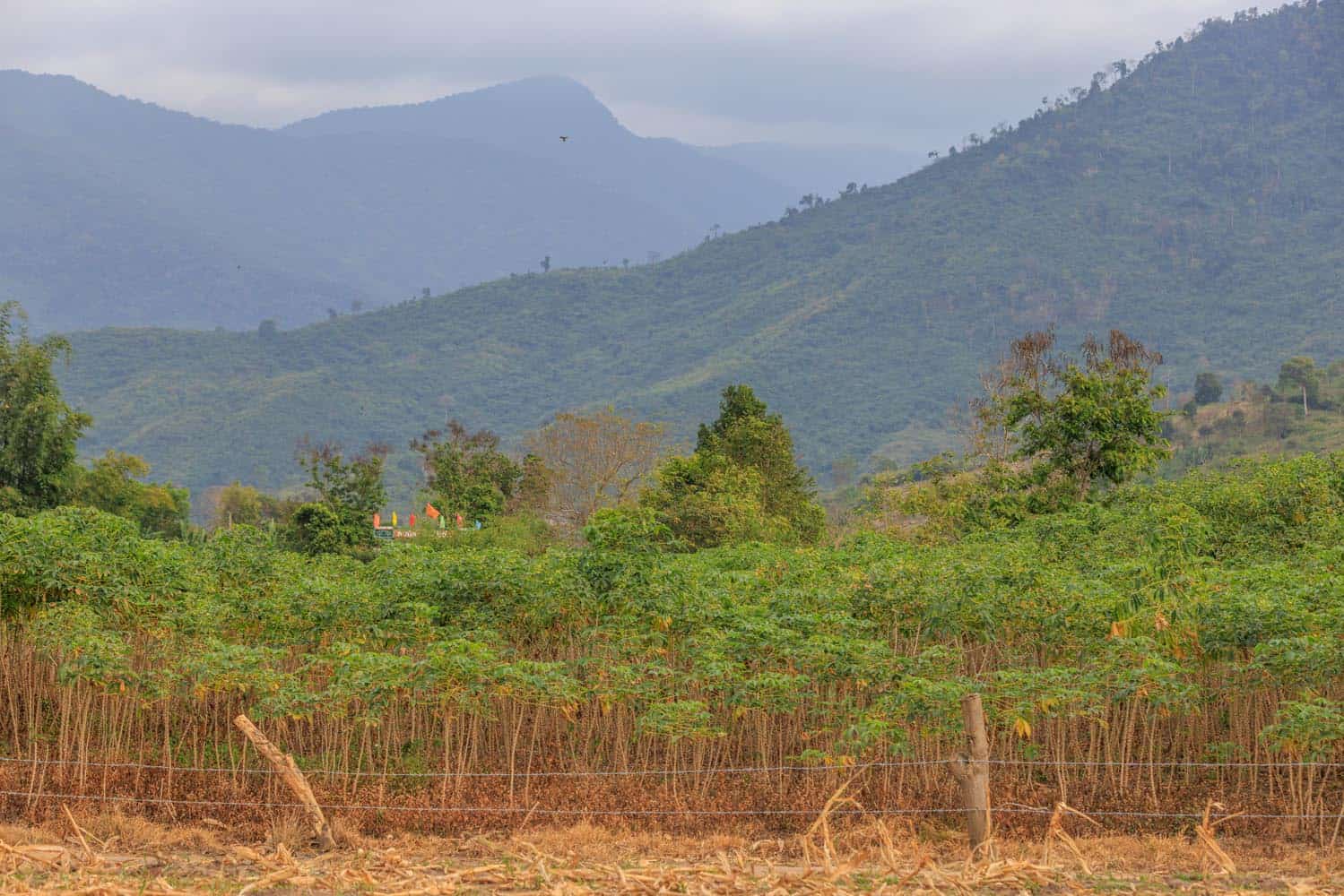 Document_Photography_Videography_Vietnam_Agasco_Sustainable_Impact_Wastewater_Treatment_Energy_Production_BinhDang_photographer_Hanoi_HoChiMinh_Asia083_