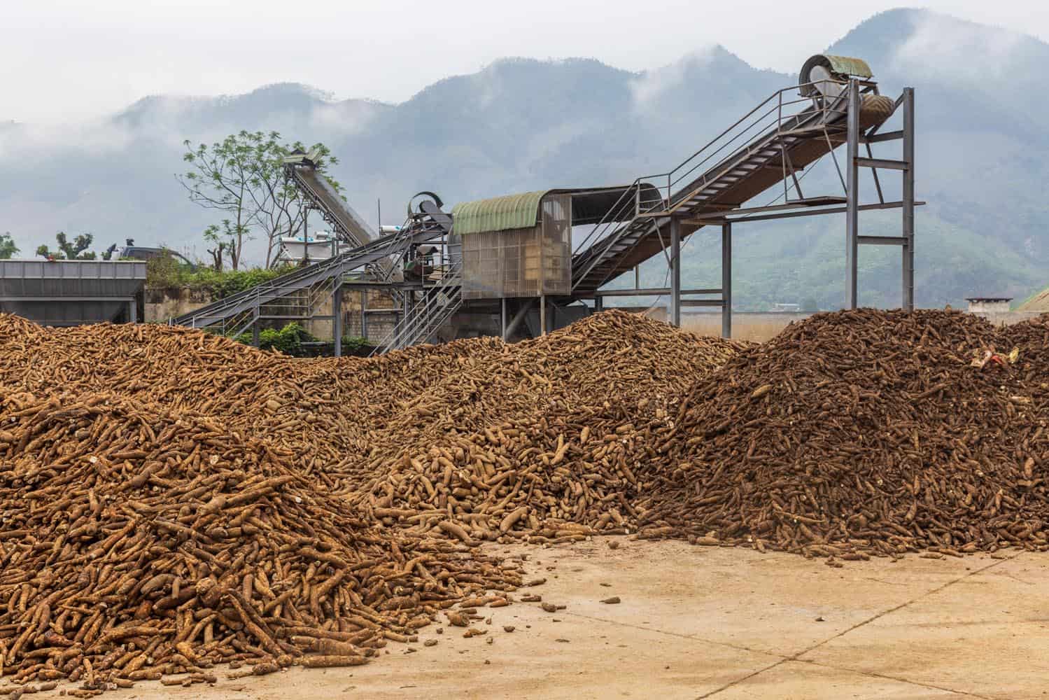 Document_Photography_Videography_Vietnam_Agasco_Sustainable_Impact_Wastewater_Treatment_Energy_Production_BinhDang_photographer_Hanoi_HoChiMinh_Asia086_