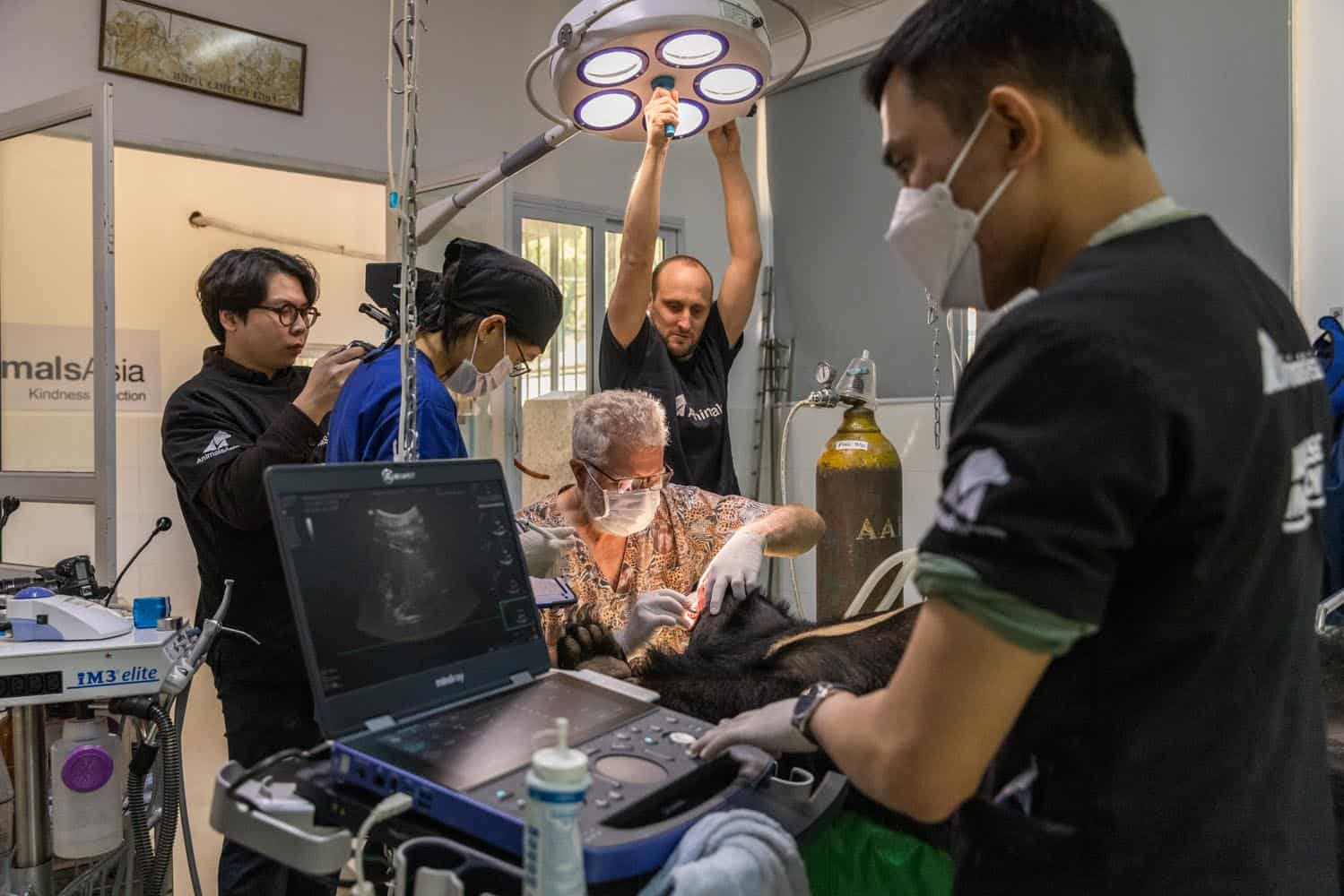 Document_Photography_Videography_Vietnam_Animal_Asia_Itena_Clinical_DrCedric_Tutt_Bear_Rescue_BinhDang_photographer_Hanoi_HoChiMinh_Asia_002_