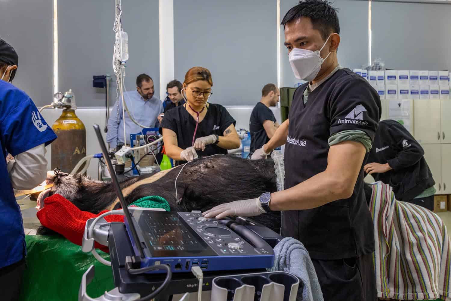 Document_Photography_Videography_Vietnam_Animal_Asia_Itena_Clinical_DrCedric_Tutt_Bear_Rescue_BinhDang_photographer_Hanoi_HoChiMinh_Asia_006_