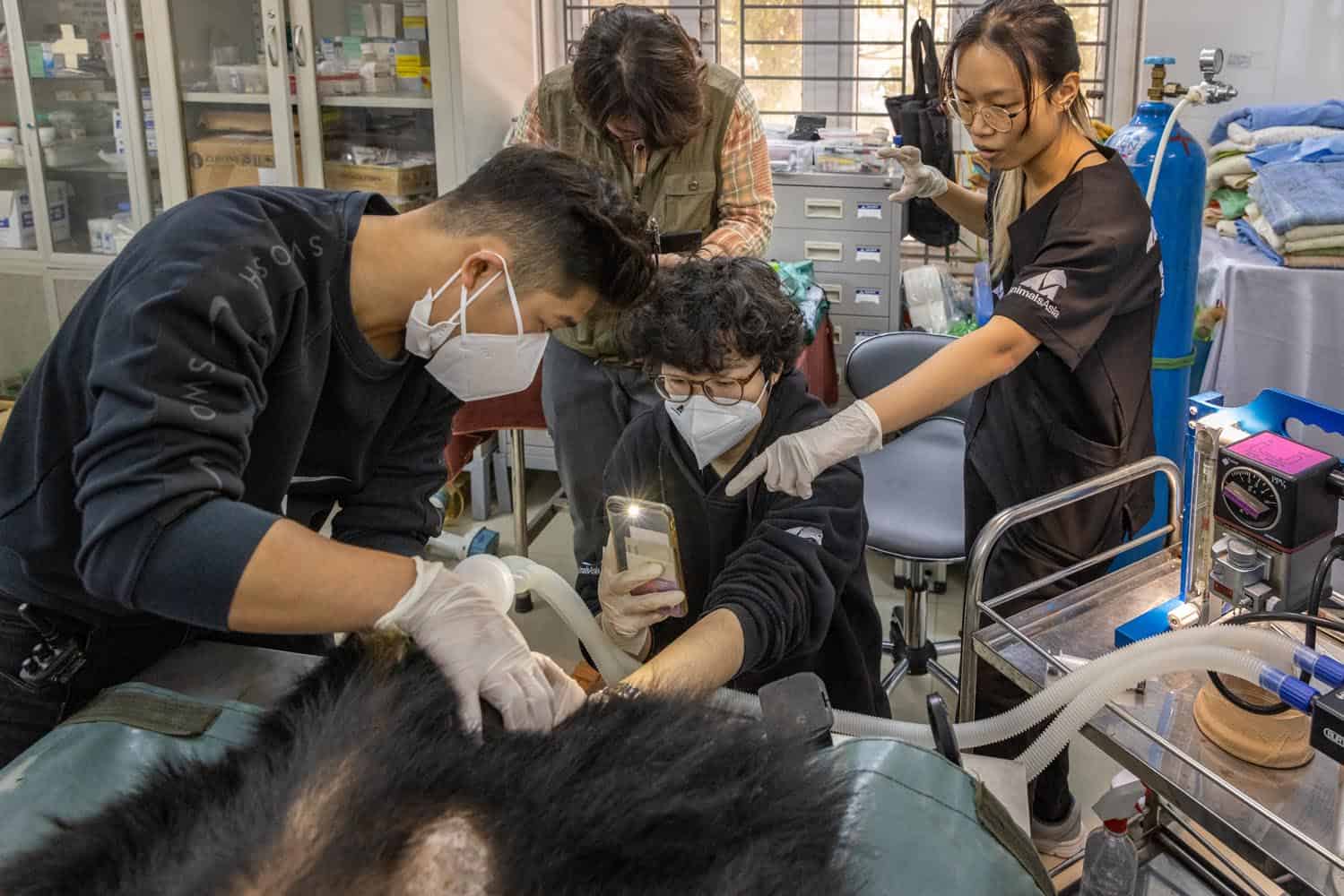 Document_Photography_Videography_Vietnam_Animal_Asia_Itena_Clinical_DrCedric_Tutt_Bear_Rescue_BinhDang_photographer_Hanoi_HoChiMinh_Asia_036_