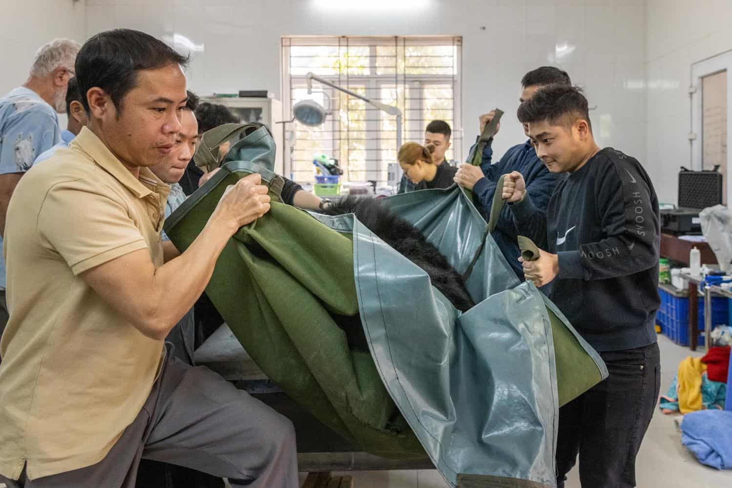 Document_Photography_Videography_Vietnam_Animal_Asia_Itena_Clinical_DrCedric_Tutt_Bear_Rescue_BinhDang_photographer_Hanoi_HoChiMinh_Asia_042_