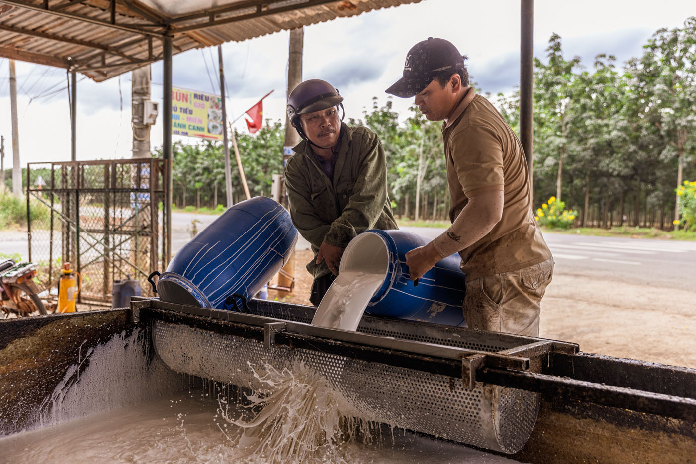 Documenting sustainable Supply Chains in Vietnam: Coffee and Rubber for the EUDR Engagement Project by GIZ BIO Viet Nam