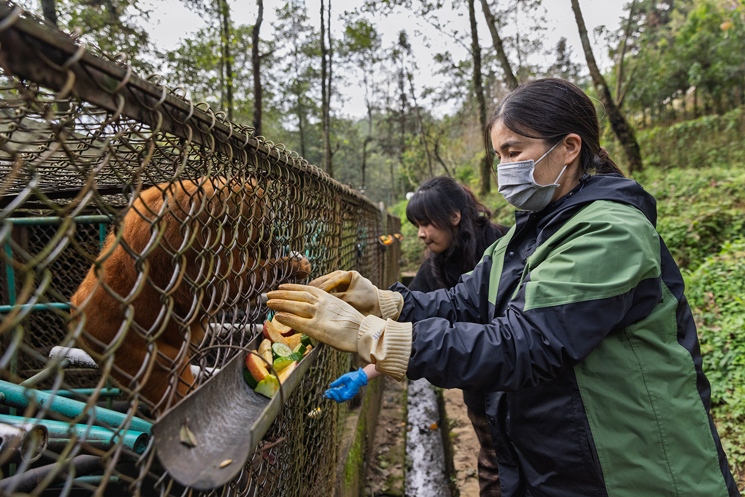 Documenting photo Hoang Lien National Park Giz Mepa Binh Dang 4 Photography | Vietnam binhdang.me