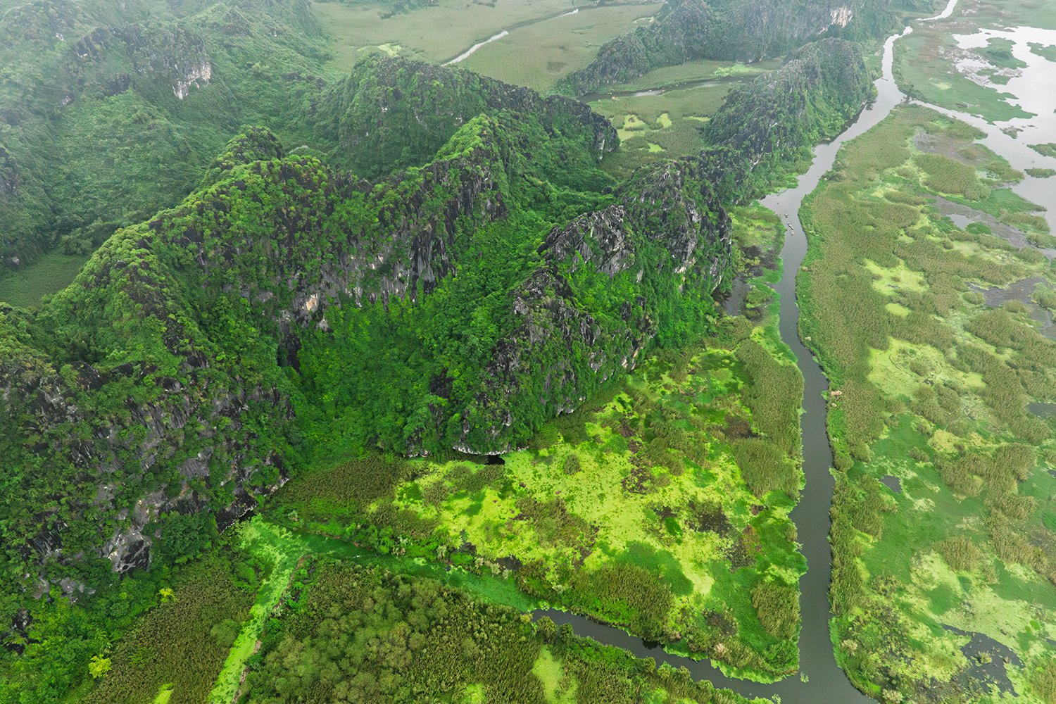 Documenting photo Van Long National Park Giz Mepa Binh Dang 6 uai Photography | Vietnam binhdang.me