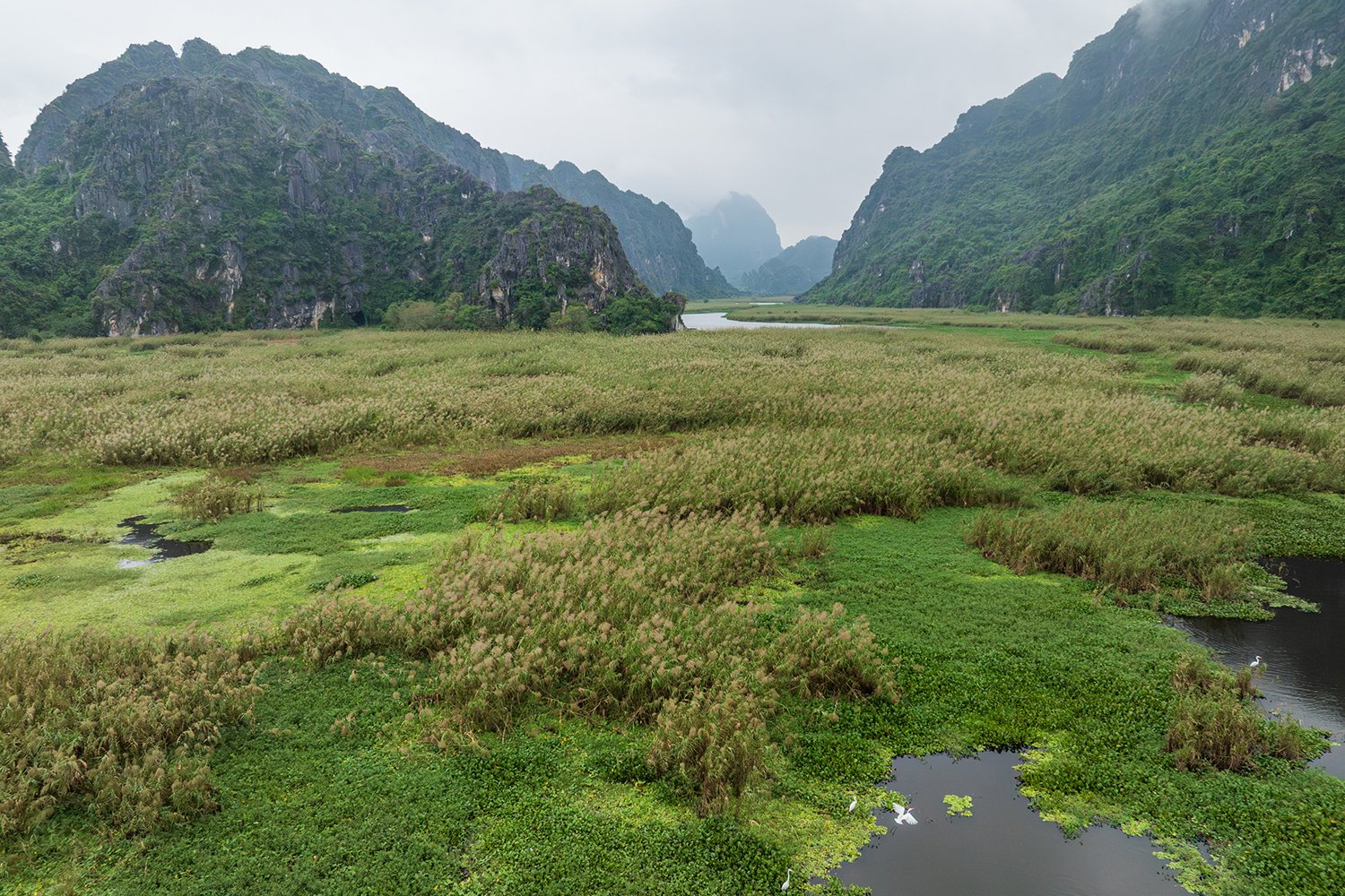 Documenting photo Van Long National Park Giz Mepa Binh Dang 7 uai Photography | Vietnam binhdang.me