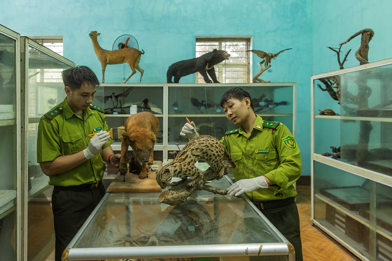Documenting photo Xuan Lien National Park Giz Mepa Binh Dang 2 Photography | Vietnam binhdang.me