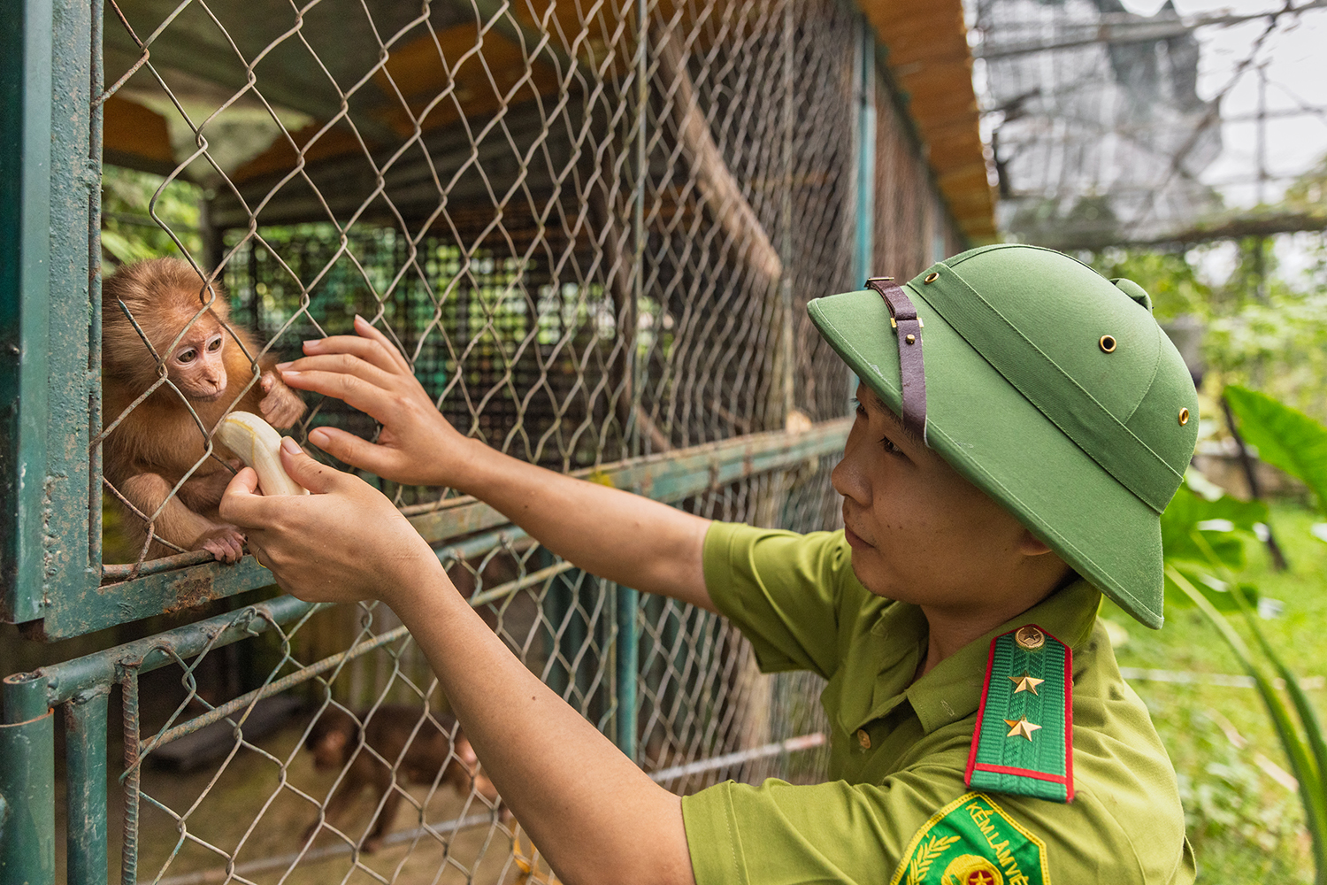 Documenting photo Xuan Lien National Park Giz Mepa Binh Dang 4 Photography | Vietnam binhdang.me