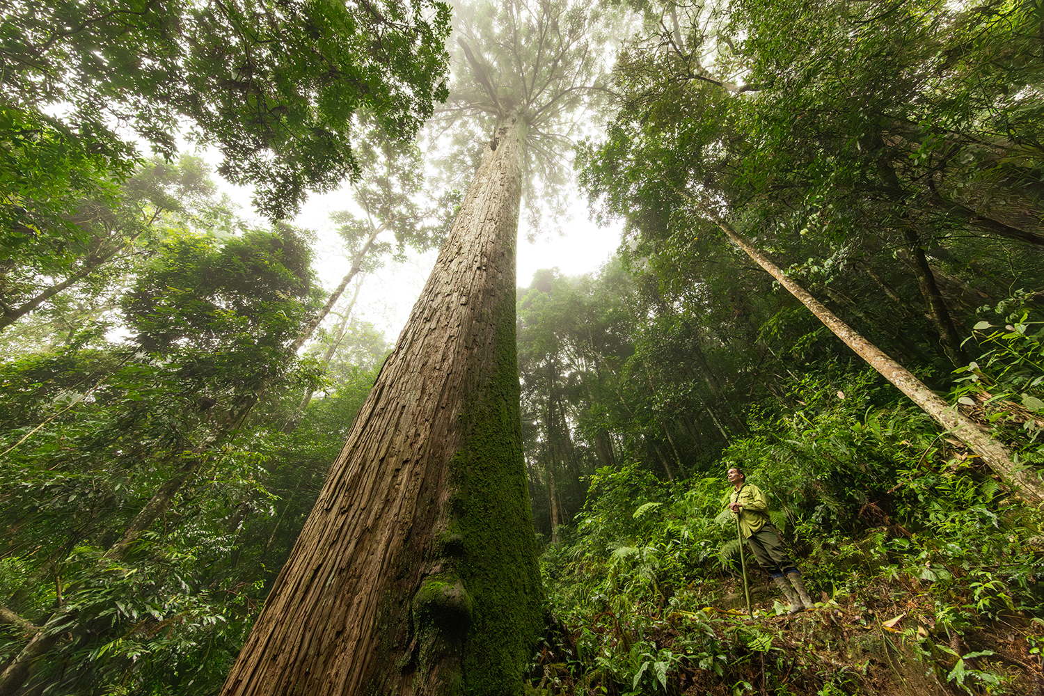 Documenting photo Xuan Lien National Park Giz Mepa Binh Dang 6 Photography | Vietnam binhdang.me