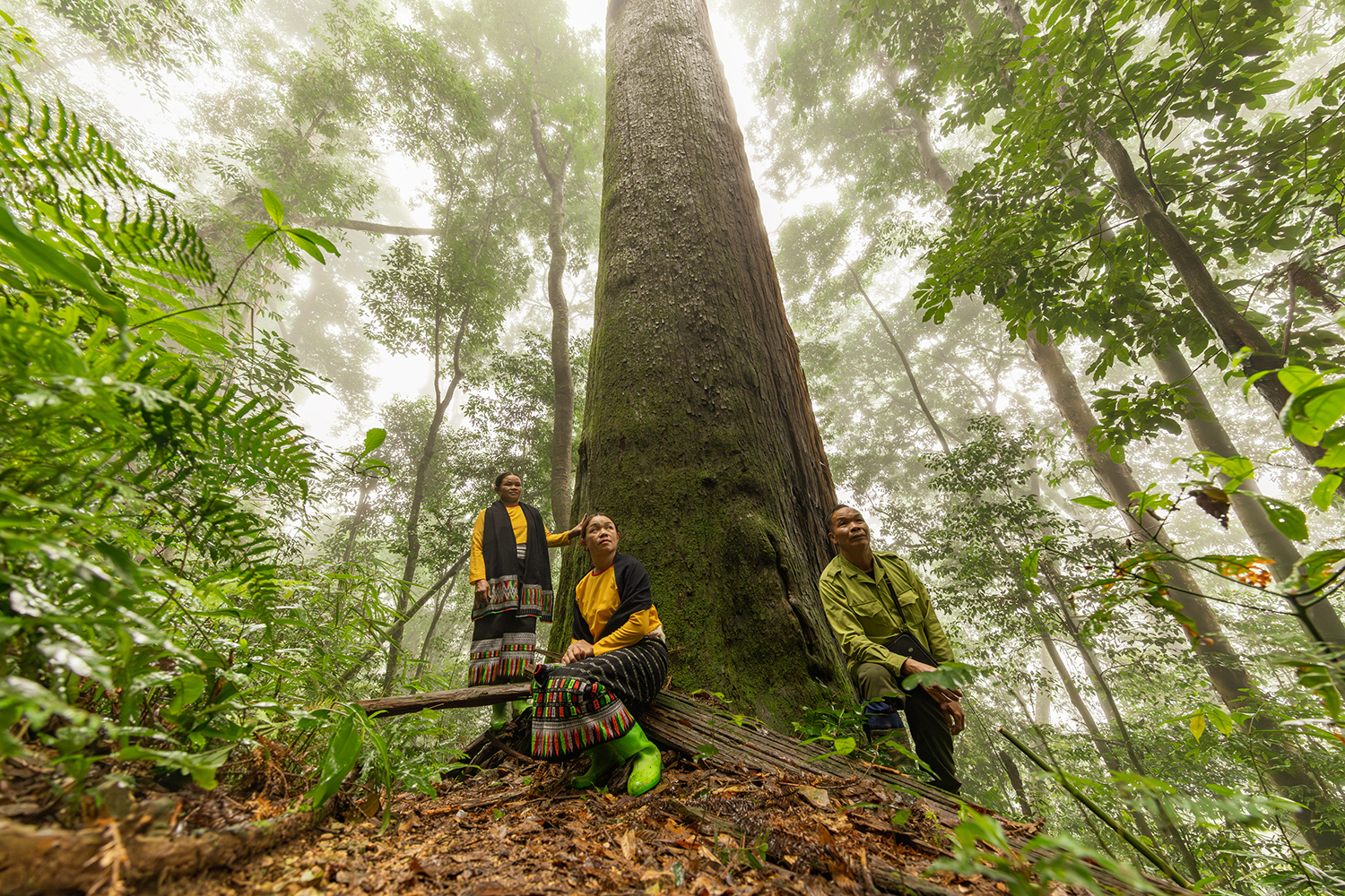 Documenting photo Xuan Lien National Park Giz Mepa Binh Dang 7 Photography | Vietnam binhdang.me