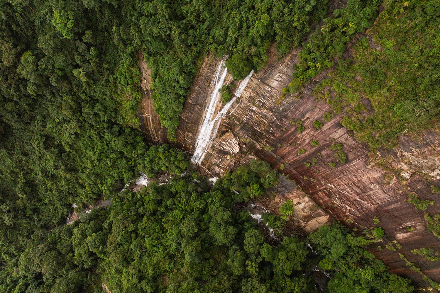 Documenting photo Xuan Lien National Park Giz Mepa Binh Dang 8 uai Photography | Vietnam binhdang.me